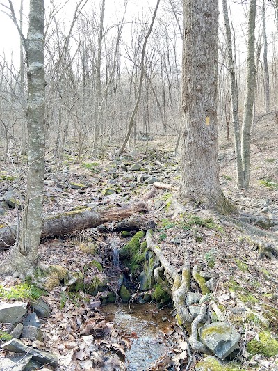 Hazel River Trailhead