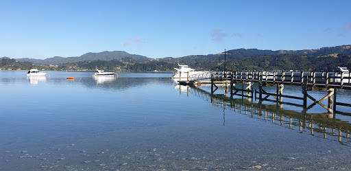 New Zealand Diving - Thumbnail