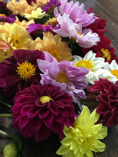 Backyard Flower Co. - Visual