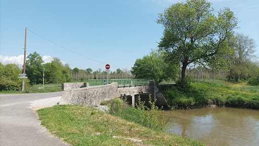 Les Barthes de Rivière-Saas-et-Gourby - Thumbnail