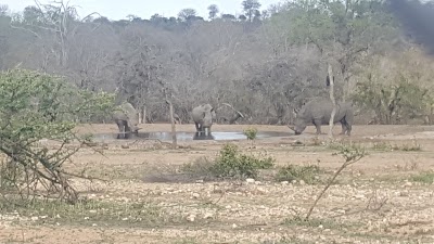 Photos of Orpen Rest Camp