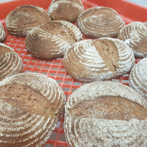 Gio's Bread - Visual