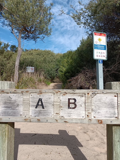 Abs Beach - Thumbnail