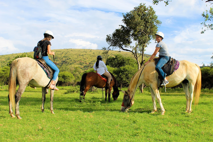 Harties Horse and Trail Safaris