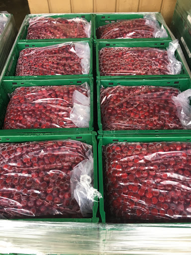 Obstplantage Zabel - Thumbnail