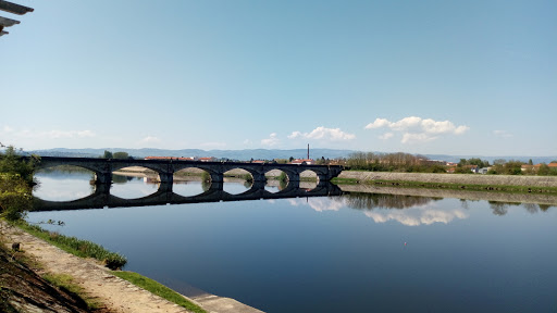 Rowing Roanne Le Coteau - Thumbnail