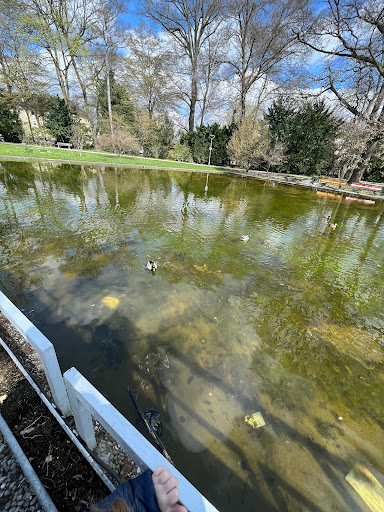 Großer Springbrunnen - Thumbnail