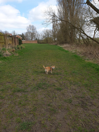 The Wier. Landing Lane.