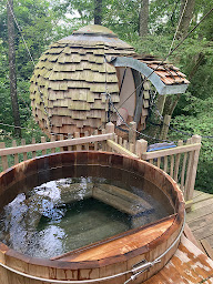 Photo n°13 de Domaine des Vaulx - Cabanes dans les arbres et Spa - Gîtes à La Baconnière (Séminaire)