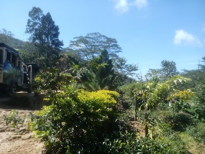 Photos of Silent Bungalow in