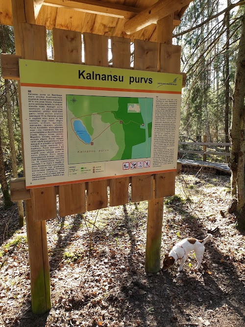 Kalnansu purvs