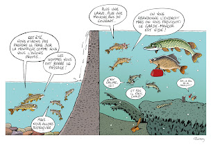 Photo n°19 de Fédération Départementale de Pêche du Rhône et de la Métropole de Lyon à La Tour-de-Salvagny (Association ou organisation)