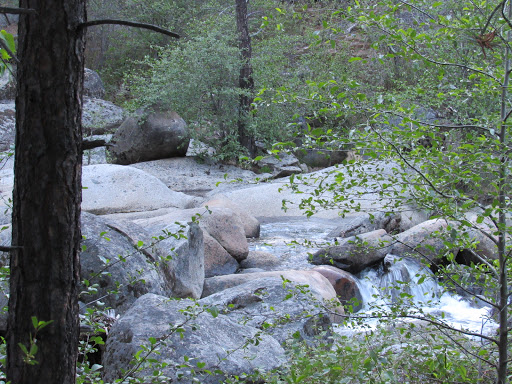 White Azalea Campground - Thumbnail