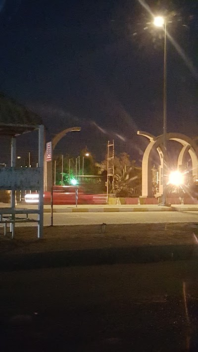 Photos of طيور الجنة الاهلية