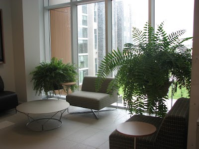 Photos of Western Summer Accommodations