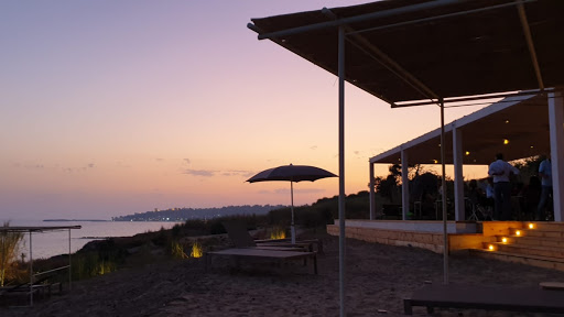Harundo Mare - Visual