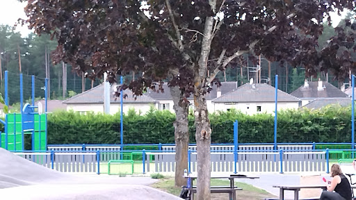 Salle de Sports et Gymnases municipaux - Thumbnail