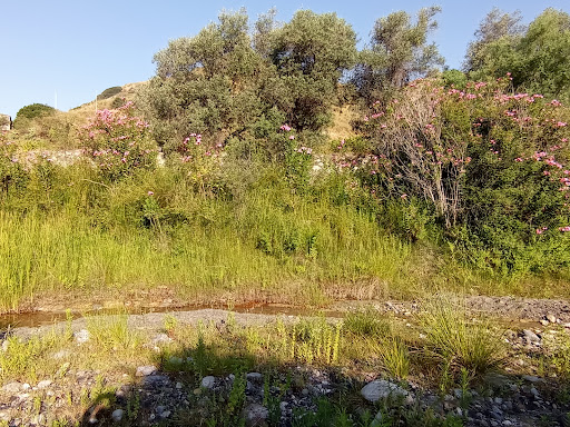 Sentiero naturalistico fiumara Spropoli - Thumbnail