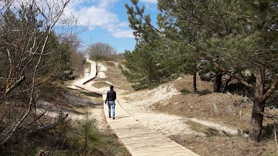 Photos of Statula Trys Mergelės