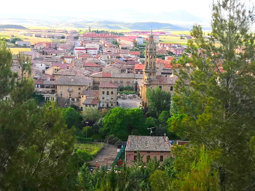 El BOlo
