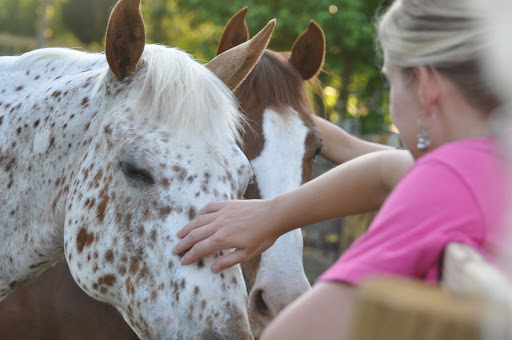 Garrison Equine Veterinary Care, LLC