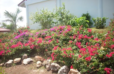 Photos of Playa Esmeralda
