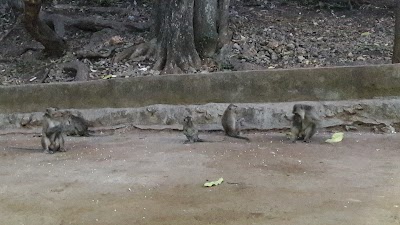 Photos of Lembah Gembul