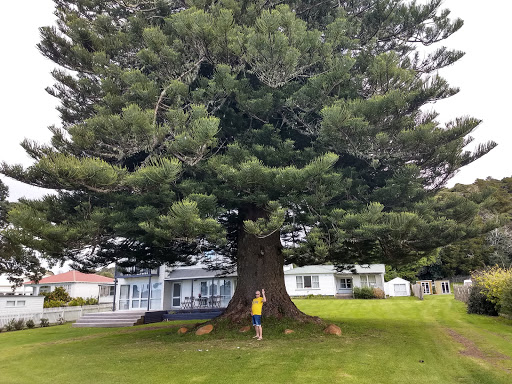 Paihia Mission Village - Thumbnail
