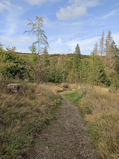 Altenauer Herzweg - Thumbnail
