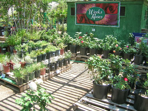 Golden Hills Nursery & Feed Center Gallery - United States