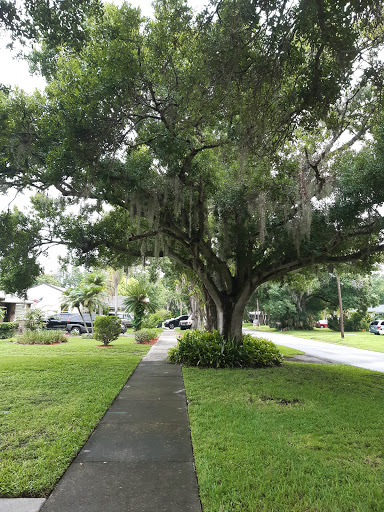 Oldsmar Historical Society - Thumbnail