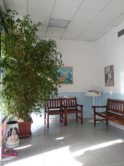 Photos of Surgery Veterinarian Bisenzio
