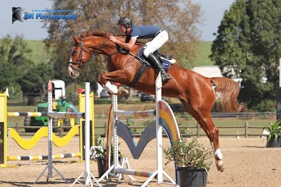 Photos of Rivervale Stud
