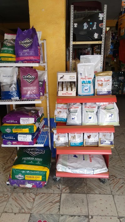 Photos of Veterinaria Magic Pets