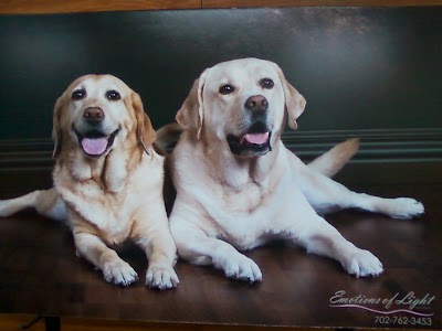 Photos of Paw Prints Pet Supplies