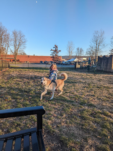 Port Jervis Dog Yard - Thumbnail