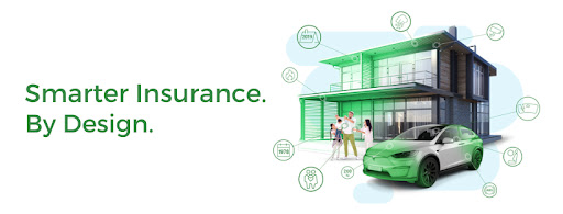 Goosehead Insurance - Ali Shah - Thumbnail