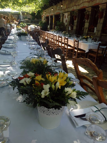 ΕΠΤΑΛΟΦΟΣ ΦΩΚΙΔΟΣ, 330 57