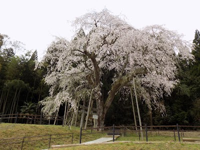 Photos of Mitani Shrine