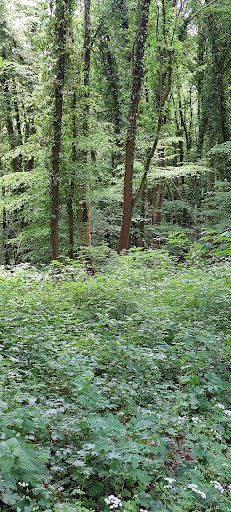 WJT Kreuzweg - Thumbnail