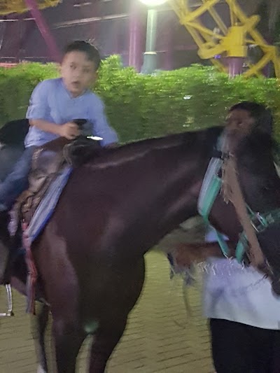 Photos of Al Shaab Amusement Park