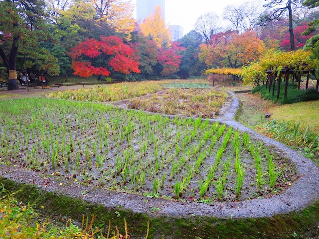 Koishikawa Kōrakuen Garden