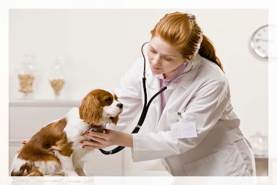 Photos of CENTRO MEDICO VETERINARIO AV. DE MAYO