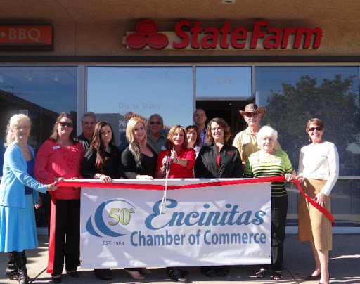 Diana Tracy - State Farm Insurance Agent - Thumbnail