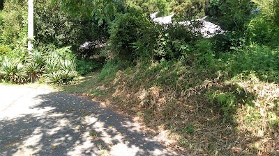 小さな森の和美術館