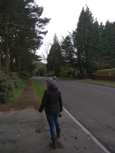 Chilworth Ring - Visual