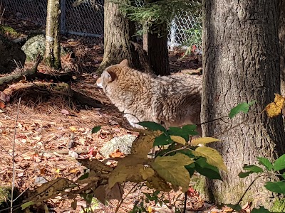 Squam Lakes Natural Science Center