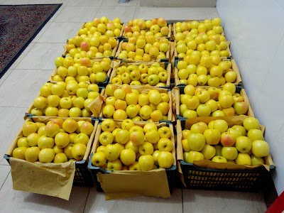 Photos of تره بار