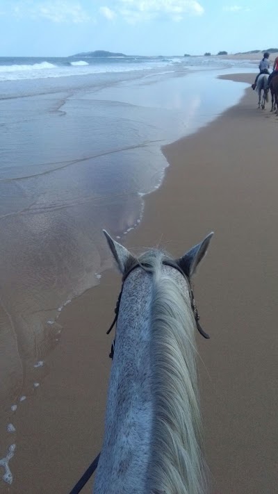 Photos of Bhangazi Horse Safaris