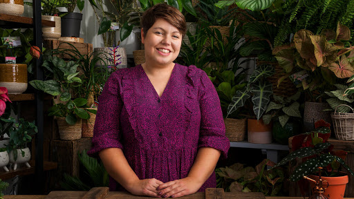 Linden Plants Gallery - United Kingdom